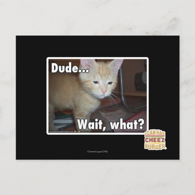 Dude Postcard (Front)