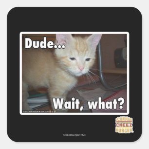Dude Square Sticker