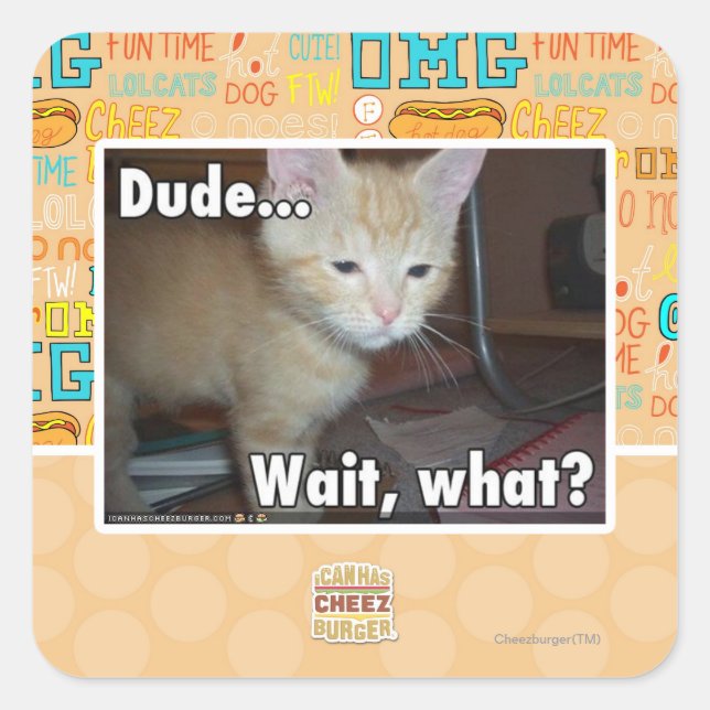 Dude Square Sticker (Front)