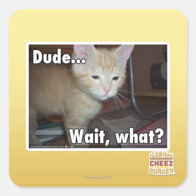 Dude Square Sticker (Front)