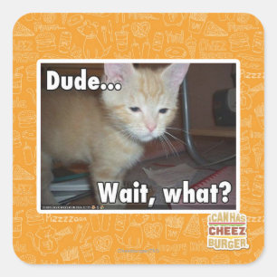 Dude Square Sticker