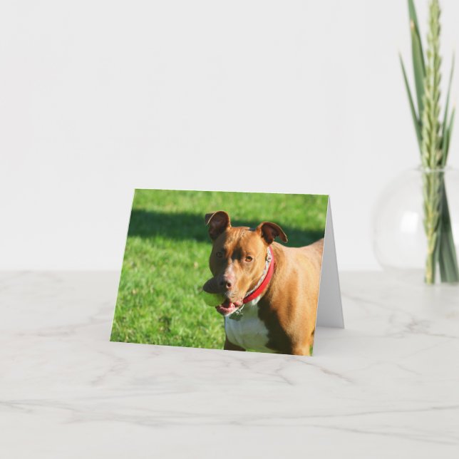 Dudley 2 Note Card (Front)