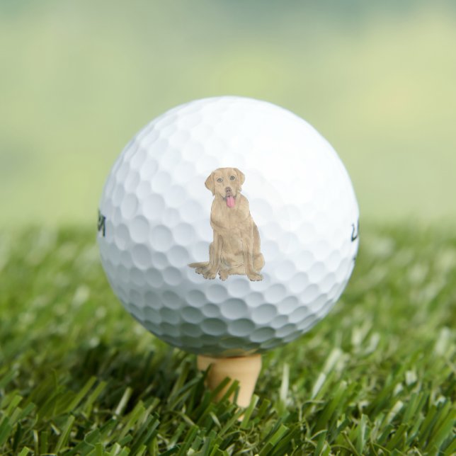 Dudley Labrador Golf Balls (Insitu Tee)