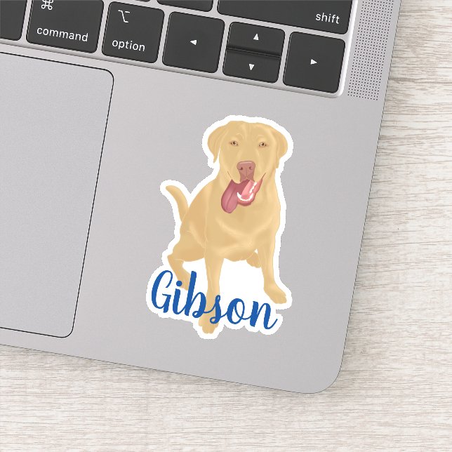 Dudley Labrador retriever  (Detail)