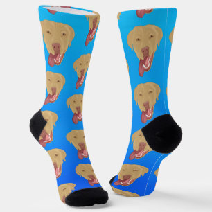 Dudley Labrador Socks