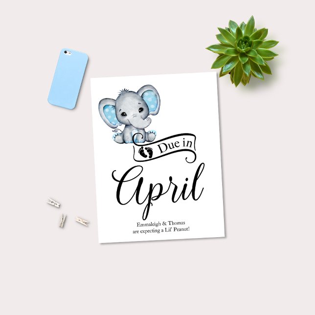 Due in April Little Peanut Baby Boy Elephant Postcard (Creator Uploaded)