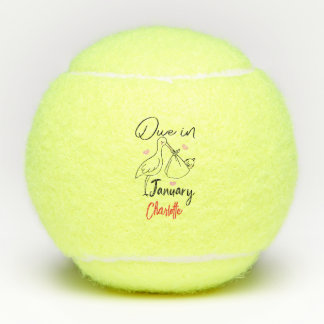 Due In January Cute Swan Carrying A Funny New Baby Tennis Balls