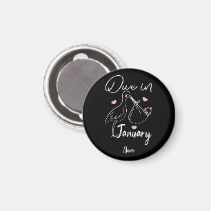 Due In January Funny Swan Carrying A Cute New Baby Magnet