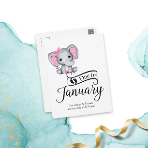Due in January Little Peanut Baby Girl Elephant Postcard