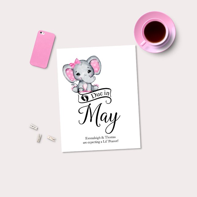Due in May Little Peanut Baby Girl Elephant Postcard (Creator Uploaded)