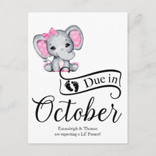 Due in October Little Peanut Baby Girl Elephant Postcard