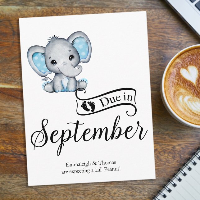 Due in September Little Peanut Baby Boy Elephant Postcard (Creator Uploaded)