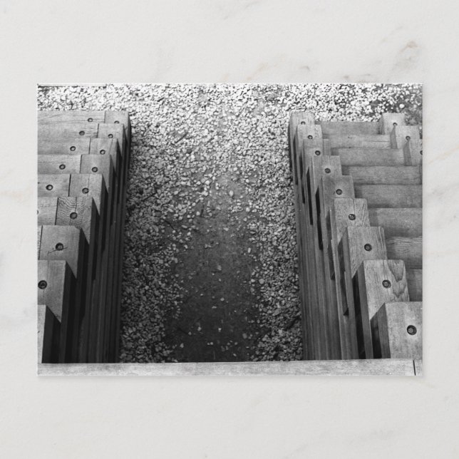 Duelling Staircase Postcard (Front)