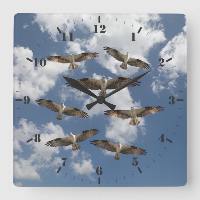 Duet of Ospreys in the sky photography Square Wall Clock (Front)
