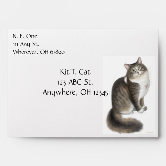 Duffy the Maine Coon Cat Envelope (Front)