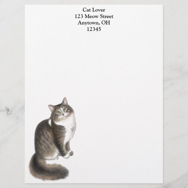 Duffy the Maine Coon Cat Letterhead (Front)
