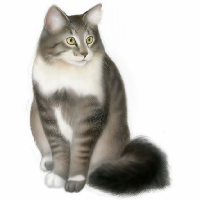 Duffy the Maine Coon Cat Ornament Photo Sculpture Decoration (Front)