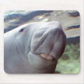 Dugong Smile Mouse Mat