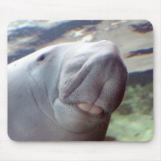 Dugong Smile Mouse Mat (Front)