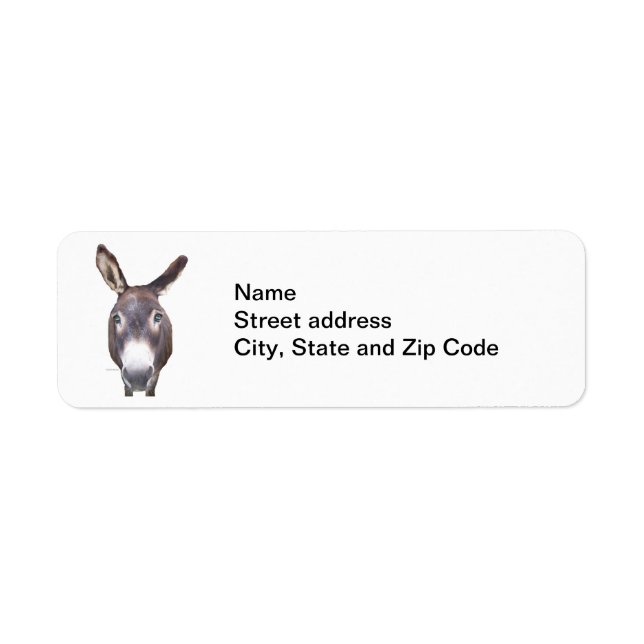 Duh! Donkey (Front)