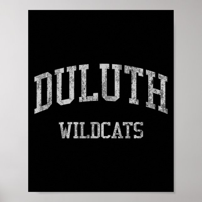 Duluth High School Hs Ga Artwork Poster (Front)