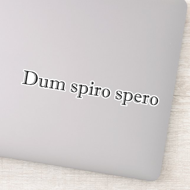 dum spiro spero (Detail)