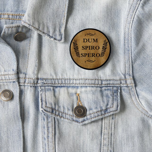 Dum spiro spero 6 cm round badge (In Situ)