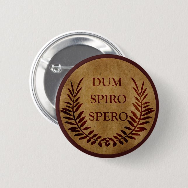 dum spiro spero 6 cm round badge (Front & Back)
