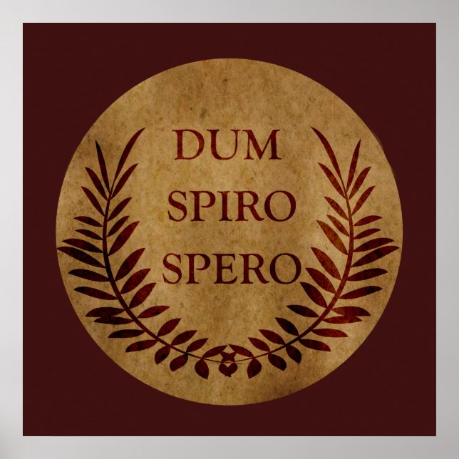 dum spiro spero, latin phrase poster (Front)