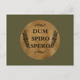 Dum spiro spero postcard