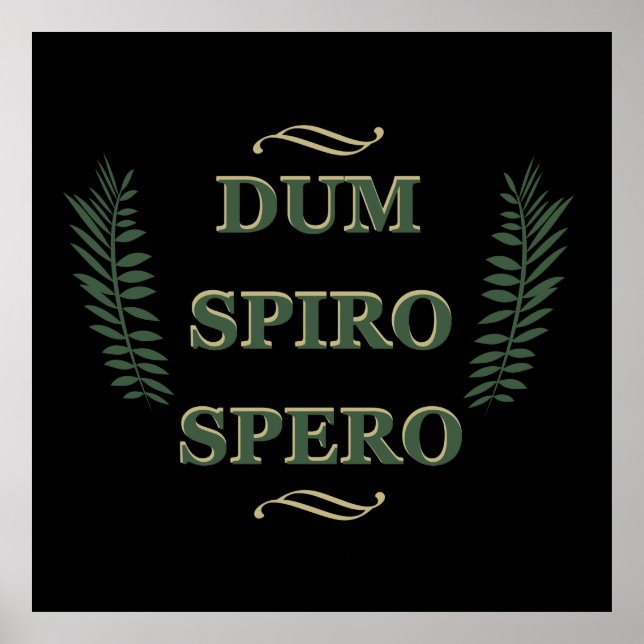 Dum spiro spero poster (Front)