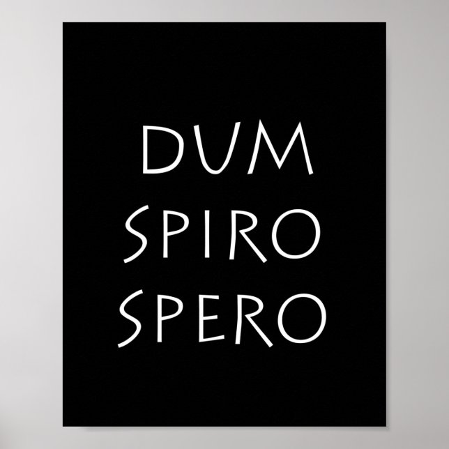 Dum spiro spero poster (Front)