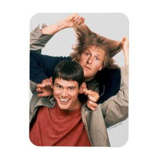 Dumb and Dumber | Lloyd and Harry Magnet