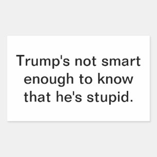Dumb Stupid Trump's Not Smart Hankamer Artjunkhaus Rectangular Sticker