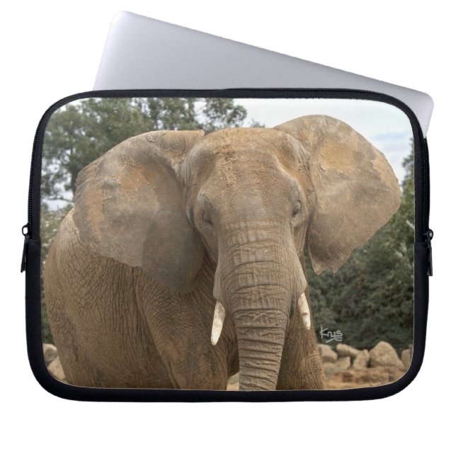 Dumbo Electronics Laptop Sleeve (Front)