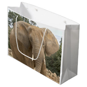Dumbo Gift Bag