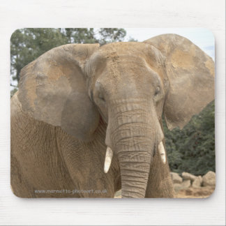 Dumbo Mousemat
