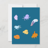 Dumbo Octopuses