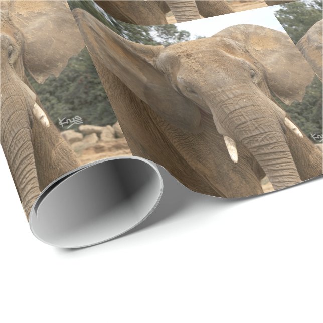 Dumbo Wrapping Paper (Roll Corner)