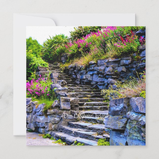 Dun Laoghaire, Ireland scenic photograph Card (Front)