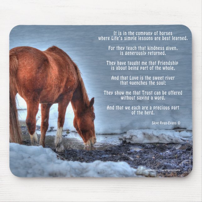 Dun Ranch Horse Drinking at Pool Equine Photo Mouse Mat (Front)