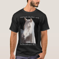 Dunalino American Bashkir curly filly