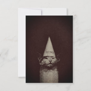 Dunce Cat - Invitations / RSVP