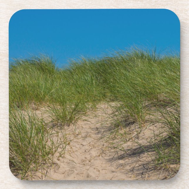 Dune And Oats Coaster (Front)