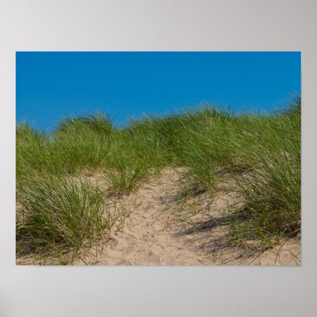 Dune And Oats Poster (Front)