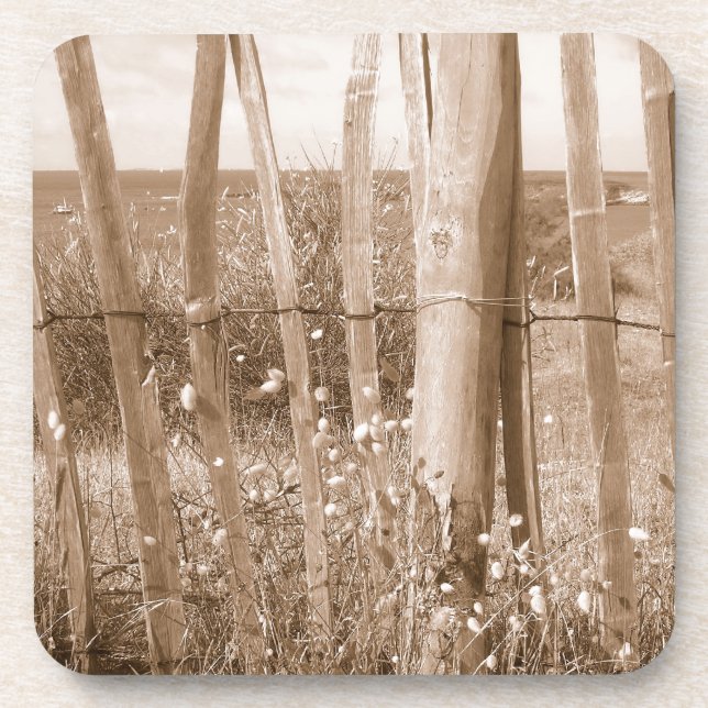 dune coaster (Front)