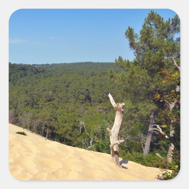 Dune of Pilat in France Postcard Square Sticker (Front)