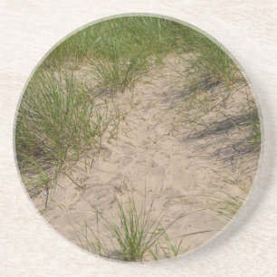 Dune Of Sea Oats Coaster