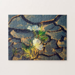 Dune Primrose growing out of Cracked Mud Jigsaw Puzzle