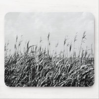 Dune Triptych III
